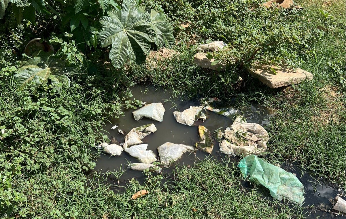 Moradores do bairro Salgadinho, em Patos PB, denunciam grave problema de esgotos estourados há meses; vídeo