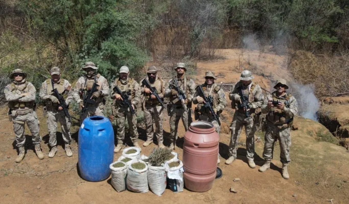 Polícia Civil faz apreensão de mais de 200 quilos de maconha em operação na Paraíba 