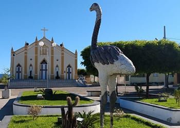 Município de Emas conquista o 4º lugar na Paraíba e o 18º no Brasil nos indicadores do Programa Previne Brasil