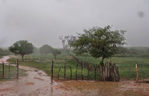 Chove 100 milímetros na zona rural de Santa Terezinha, na noite deste domingo (2); veja