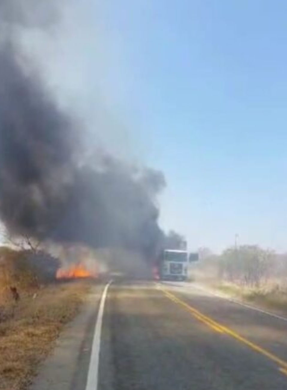 Caminhão carregado com frangos pega fogo em estrada do Vale do Piancó; veja vídeo 