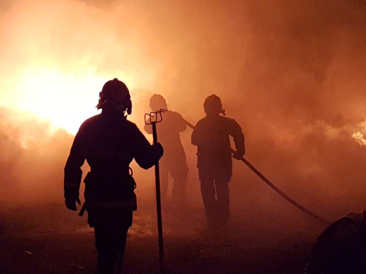 Corpo de Bombeiros da Paraíba realiza, nesta sexta-feira (6), Operação Queimadas que visa o combate e a prevenção de incêndios florestais