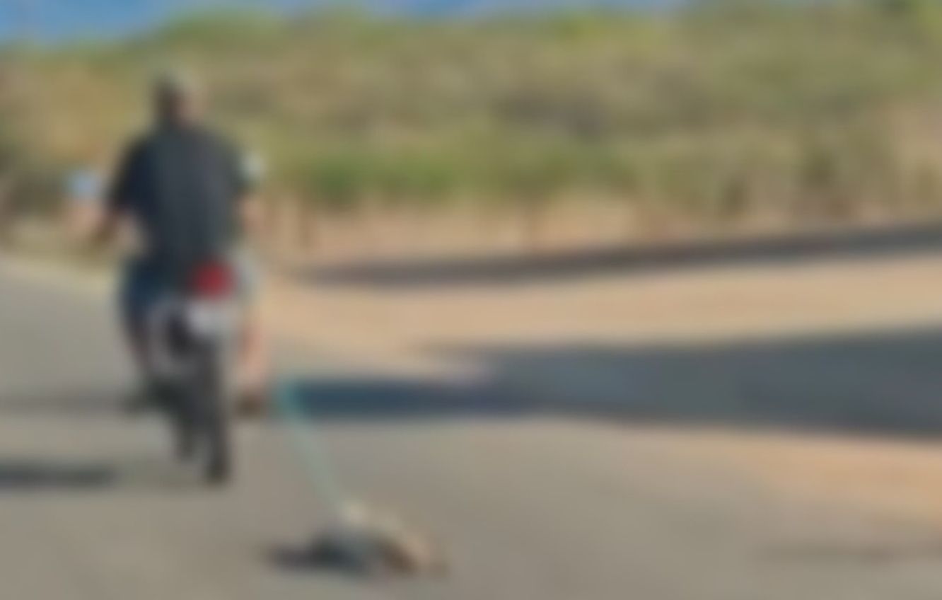 Vídeo viraliza após registrar motociclista arrastando cachorro por rodovia; veja