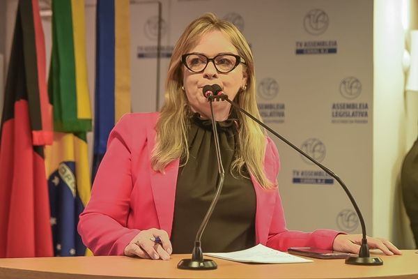 Projeto de Sílvia Benjamin otimiza transferência de veículos na Paraíba 