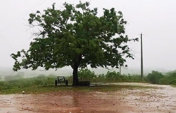 Chove 70mm na Fazenda Nossa Senhora de Lourdes, em Catingueira; veja