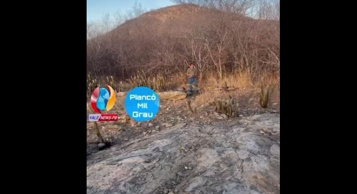 Vídeo! Seca no Vale do Piancó maltrata o rebanho e deixa paisagem desértica