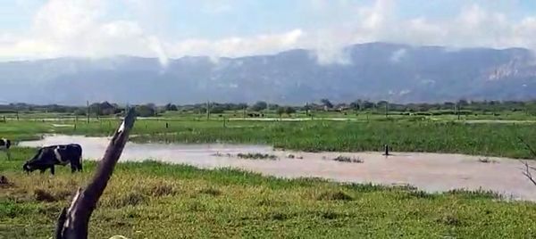 VÍDEO: André Almeida registra maior cheia no Rio Farinha de 2021, em Cacimba de Areia